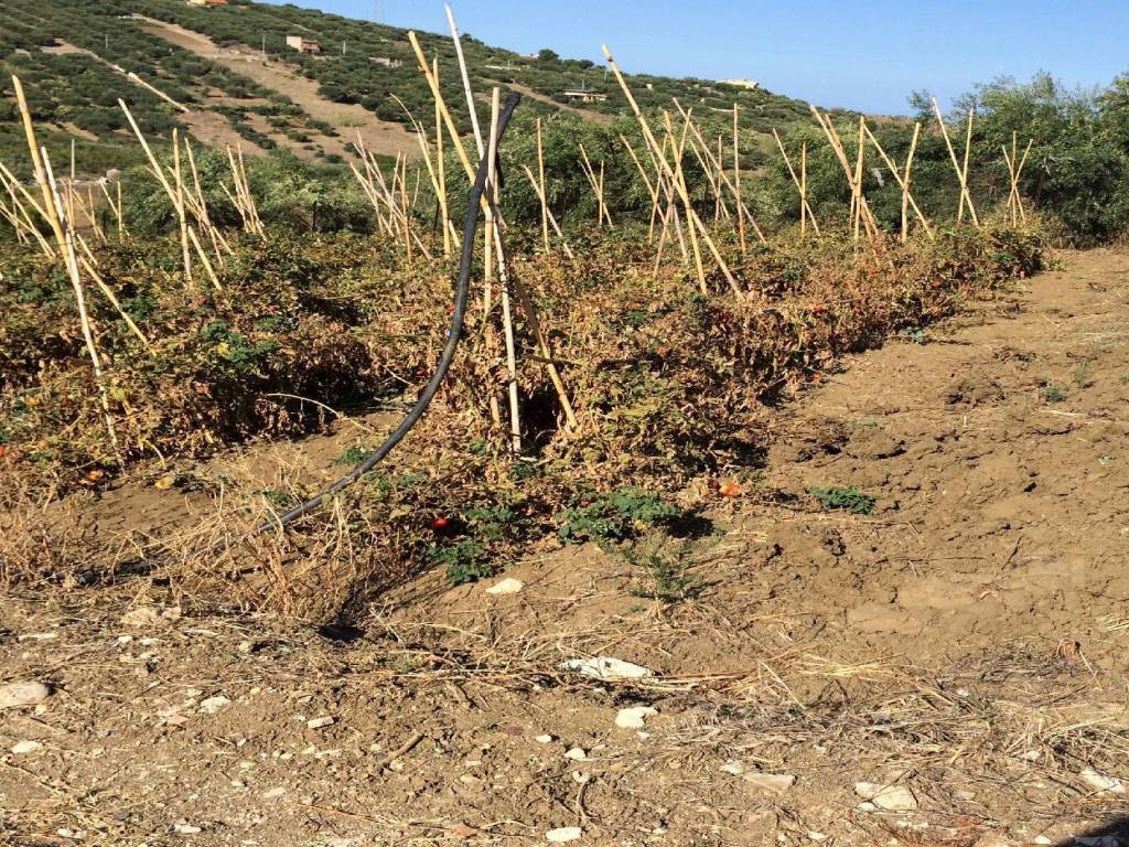 Terreno a Bagheria in Contrada Bellacera - Foto 2