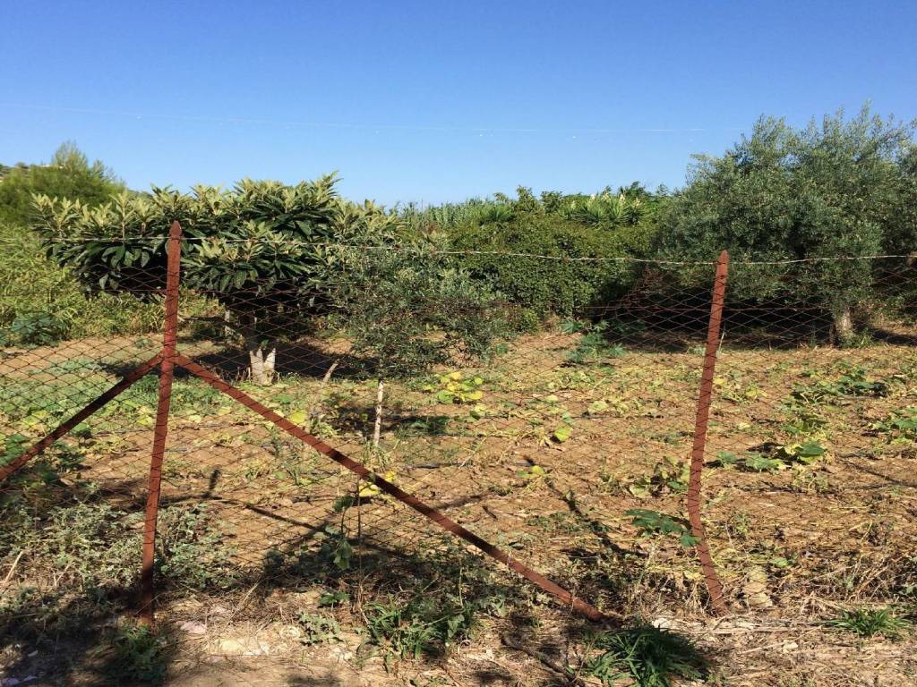 Terreno a Bagheria in Contrada Bellacera - Foto 3