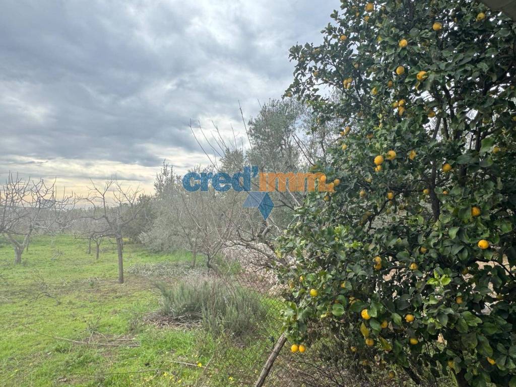 Villa a Bisceglie in Via Pantano - Foto 5