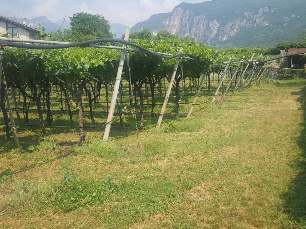 Rustico / casale a Volano in via Camposala - Foto 4