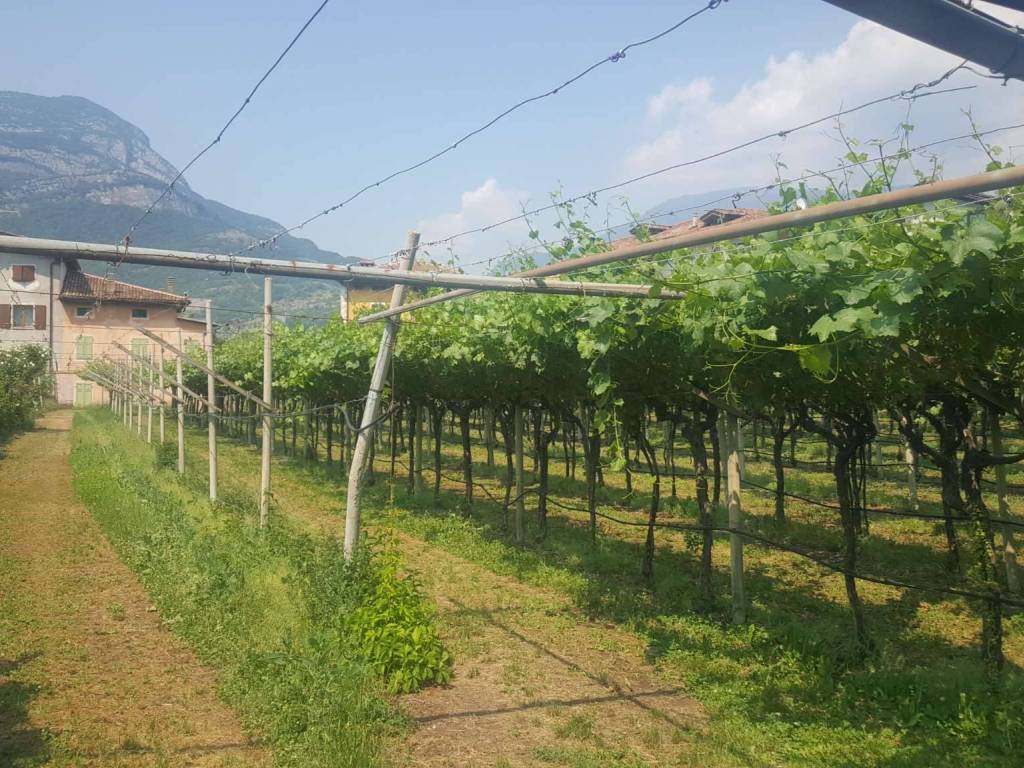 Rustico / casale a Volano in via Camposala - Foto 5