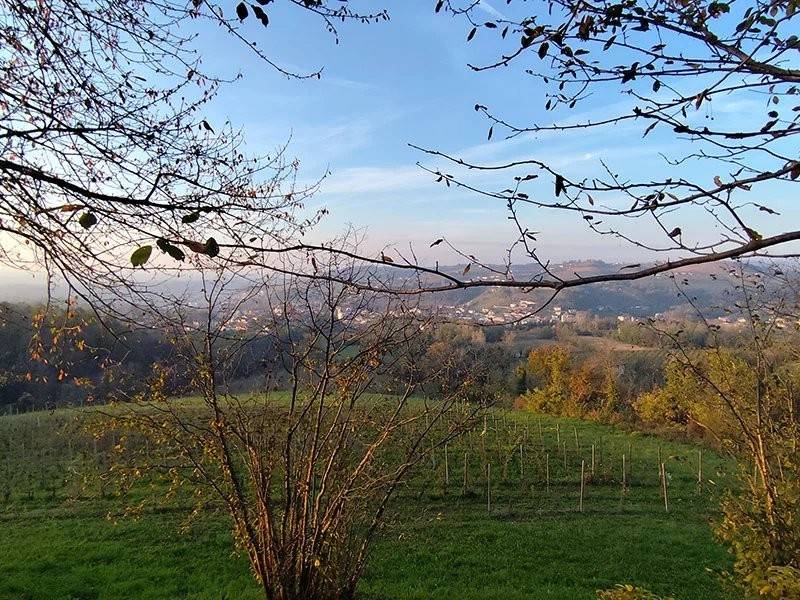 Rustico / casale a Dogliani - Foto 3