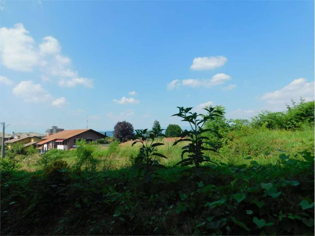 Terreno a Golasecca in via monte tabor , 20 - Foto 4