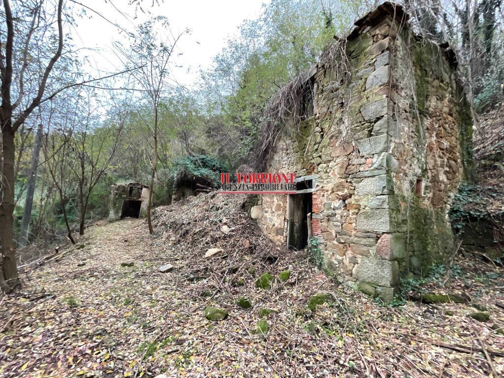 Rustico / casale a Pescia in Via per Medicina - Foto 2