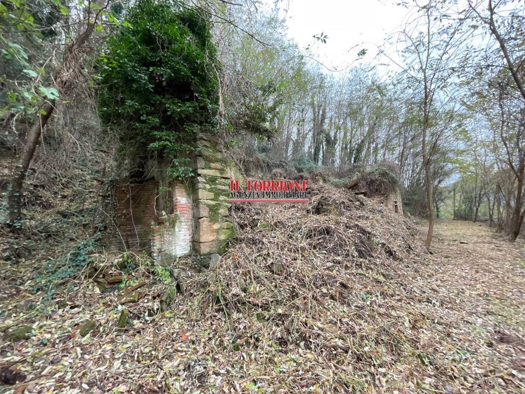 Rustico / casale a Pescia in Via per Medicina - Foto 4