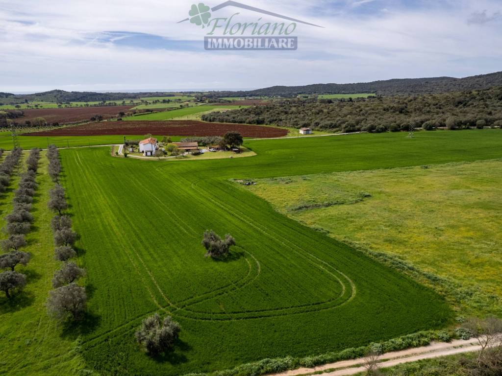 Rustico / casale a Capalbio in Strada del Giardino - Foto 2