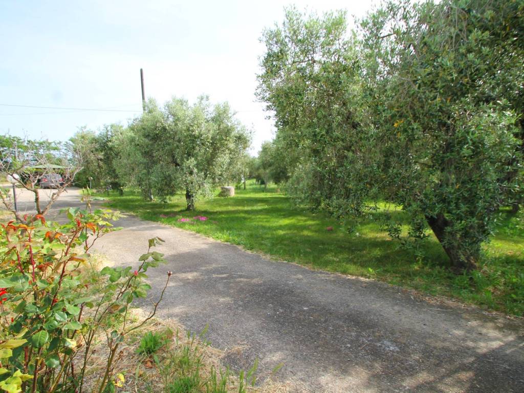 Appartamento a Montalto di castro in Strada Provinciale Pescia Romana - Foto 3