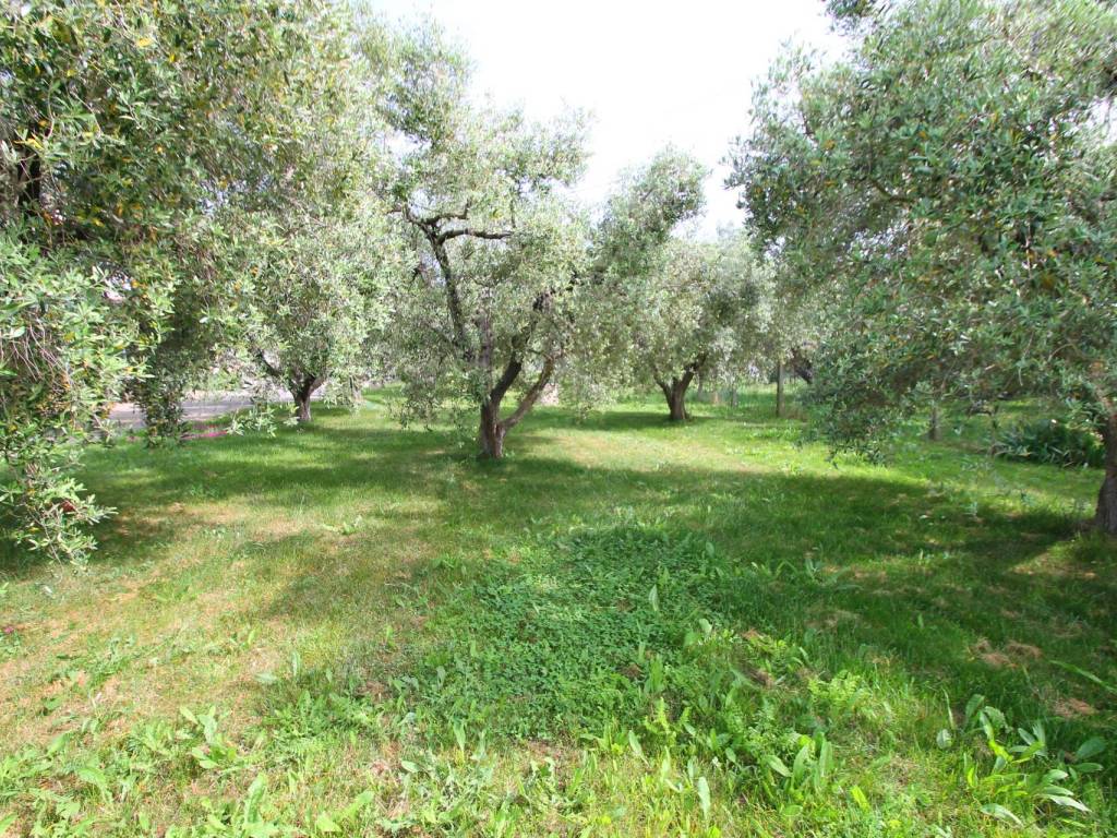 Appartamento a Montalto di castro in Strada Provinciale Pescia Romana - Foto 4