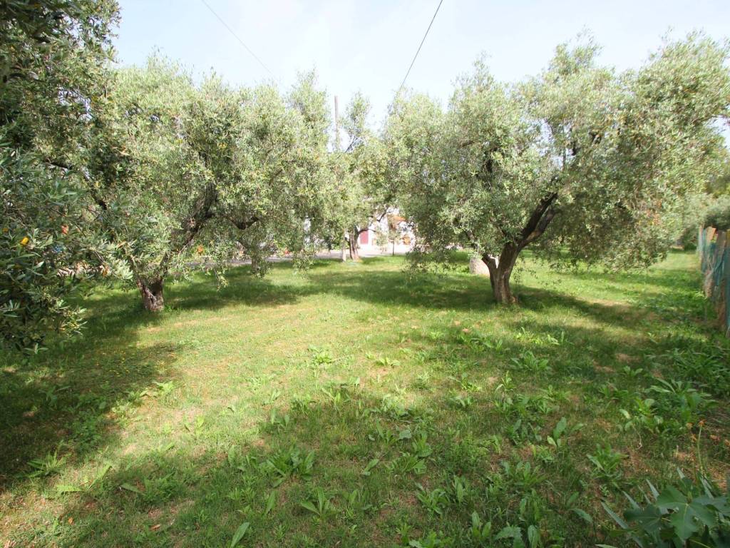 Appartamento a Montalto di castro in Strada Provinciale Pescia Romana - Foto 5