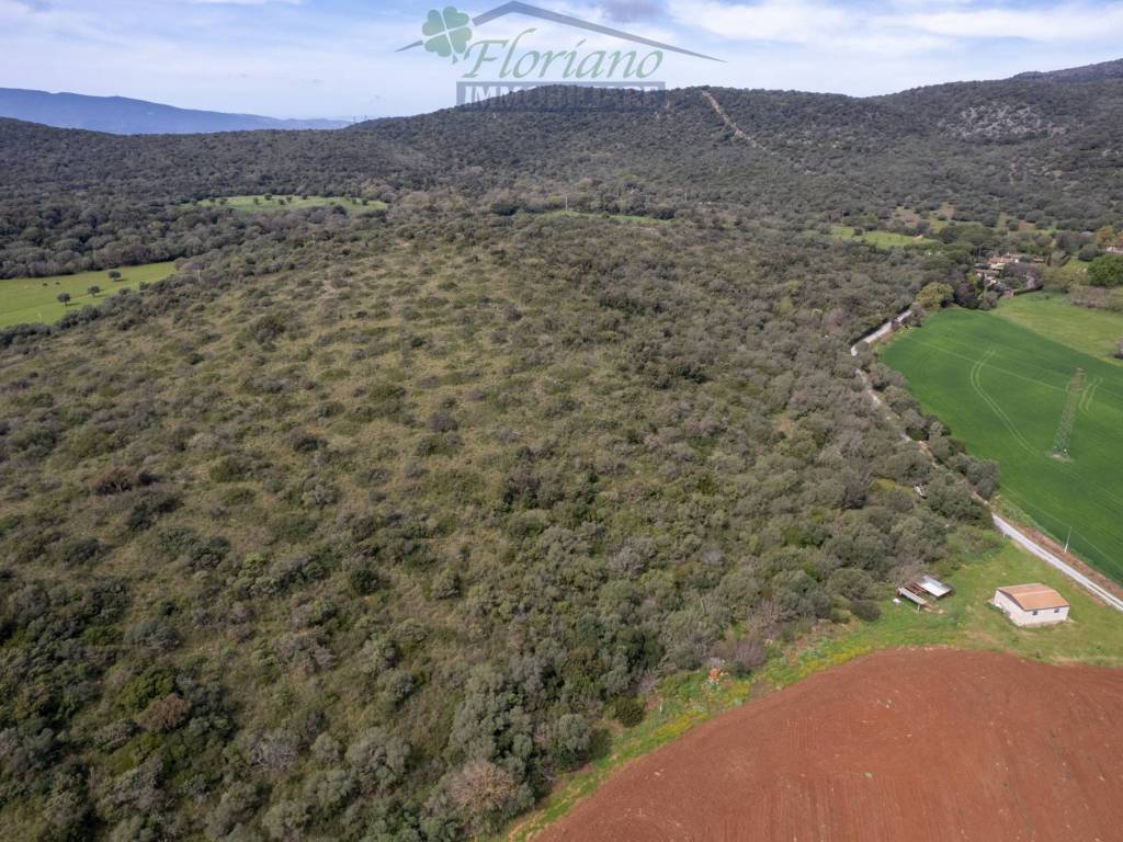 Rustico / casale a Orbetello in Strada Pedemontana - Foto 5