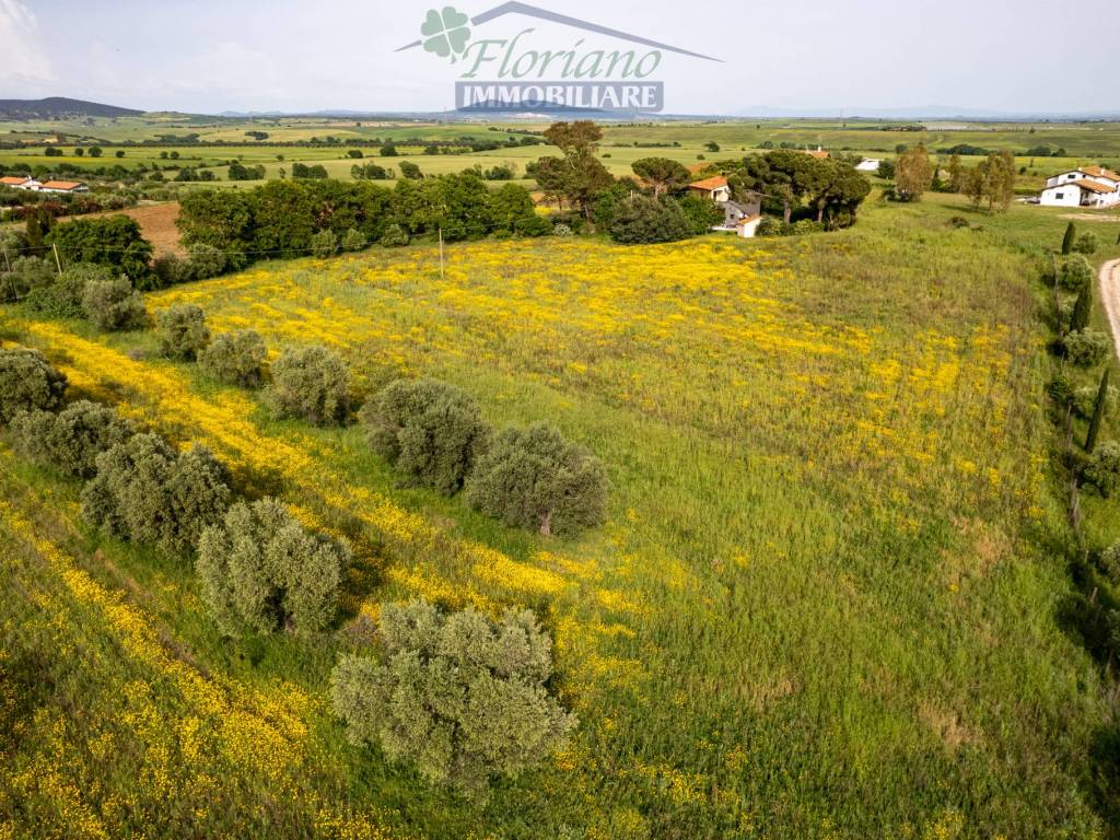Rustico / casale a Montalto di castro in Località Cacciata Grande - Foto 5