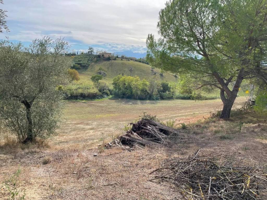 Terreno a Monsampolo del tronto - Foto 5