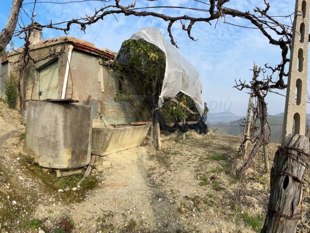 Terreno a Ripatransone in Contrada Collevecchio - Foto 4