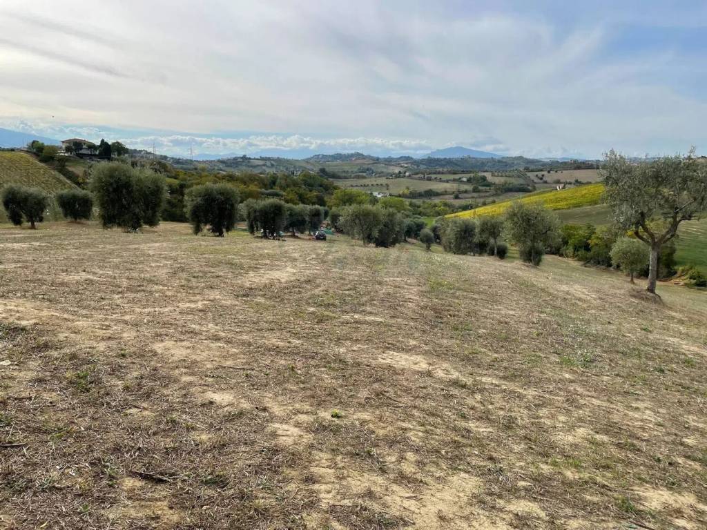 Rustico / casale a Monsampolo del tronto in Strada Provinciale 46 - Foto 5