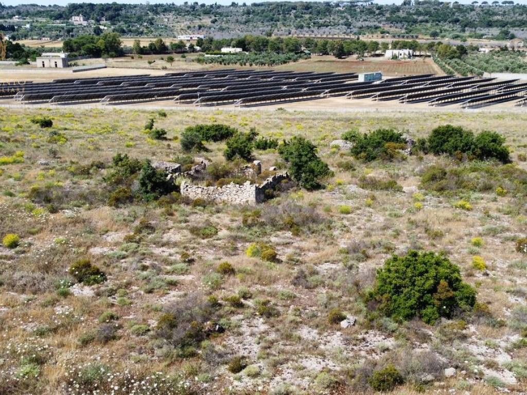 Terreno a Alessano in Strada Provinciale Maglie Lecce - Foto 2