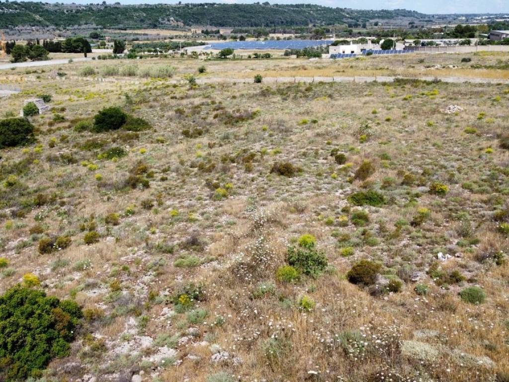 Terreno a Alessano in Strada Provinciale Maglie Lecce - Foto 3