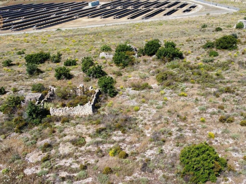 Terreno a Alessano in Strada Provinciale Maglie Lecce - Foto 4