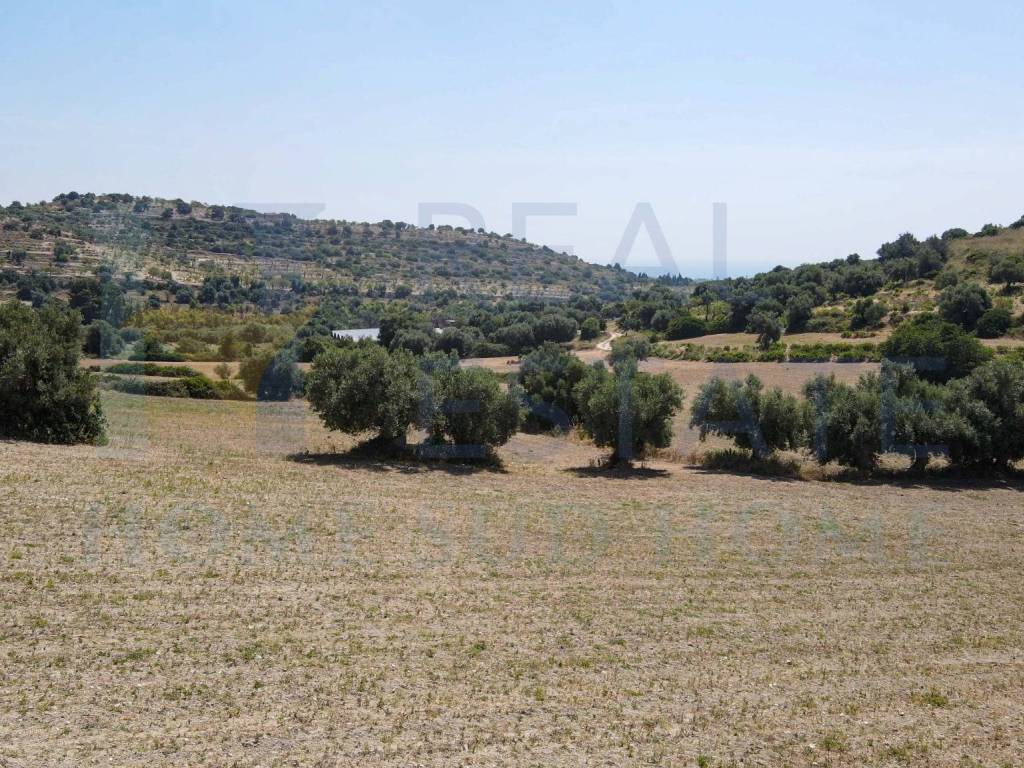 Terreno a Avola in Contrada Avola Antica - Foto 3
