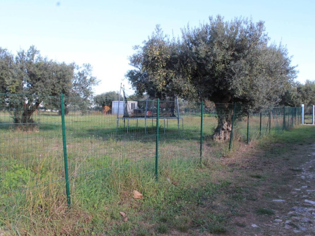 Terreno a Cepagatti in Via Benedetto Profeta - Foto 2