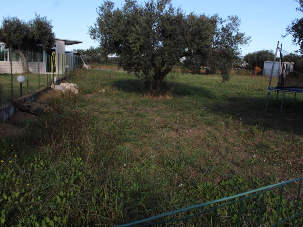 Terreno a Cepagatti in Via Benedetto Profeta - Foto 3