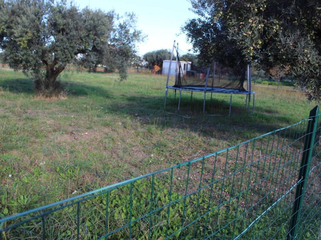 Terreno a Cepagatti in Via Benedetto Profeta - Foto 4