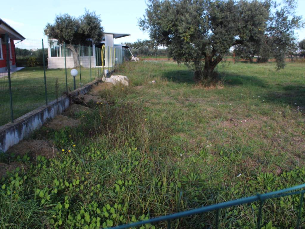 Terreno a Cepagatti in Via Benedetto Profeta - Foto 5