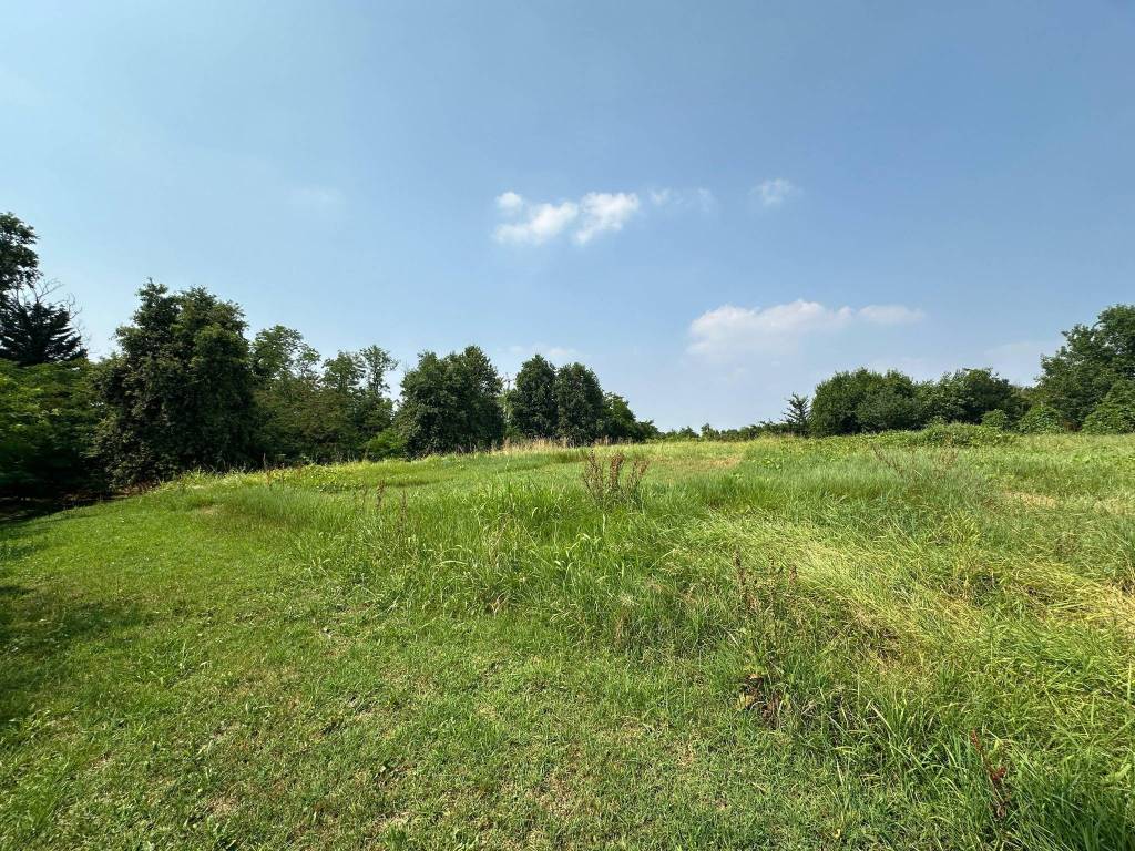 Terreno a Capriano del colle - Foto 2