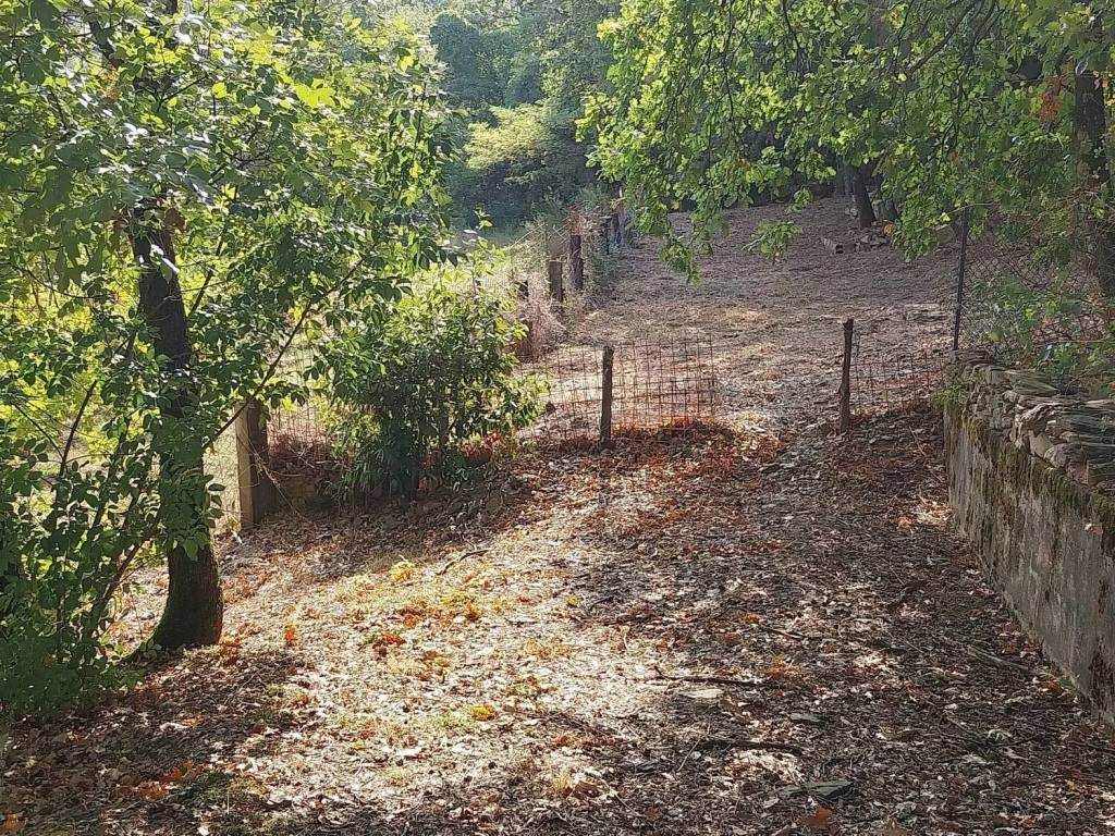 Terreno a Carmignano in Via Carmignanese - Foto 4