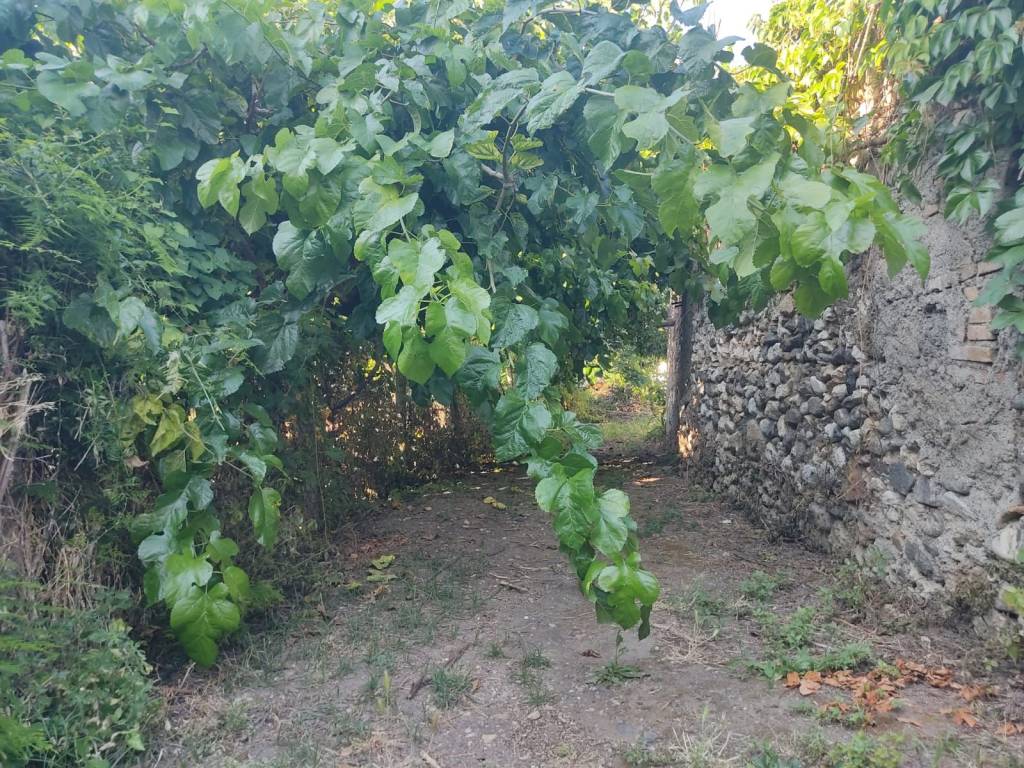 Casa indipendente a San filippo del mela in Via Professore Tommaso Impò, 29 - Foto 3
