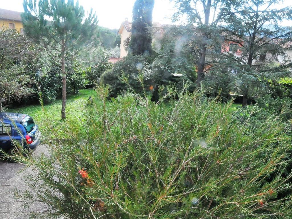 Villa a Carmignano - Foto 3