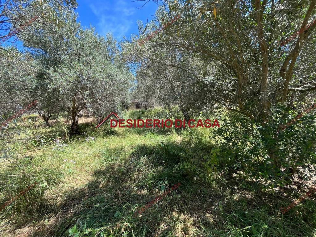 Terreno a Cinisi in SS113 - Foto 3