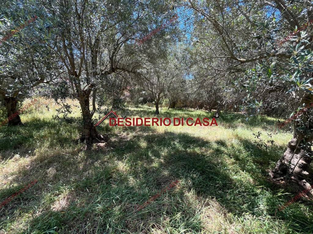 Terreno a Cinisi in SS113 - Foto 4