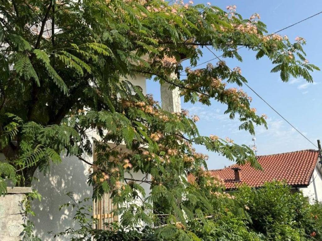 Casa indipendente a Castagnole delle lanze in Via Angelo Benso, 12 - Foto 3