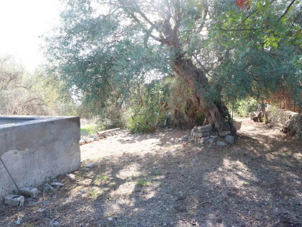 Terreno a Canicattini bagni in Strada Scala Di Gemmazza S.N.C. - Foto 3