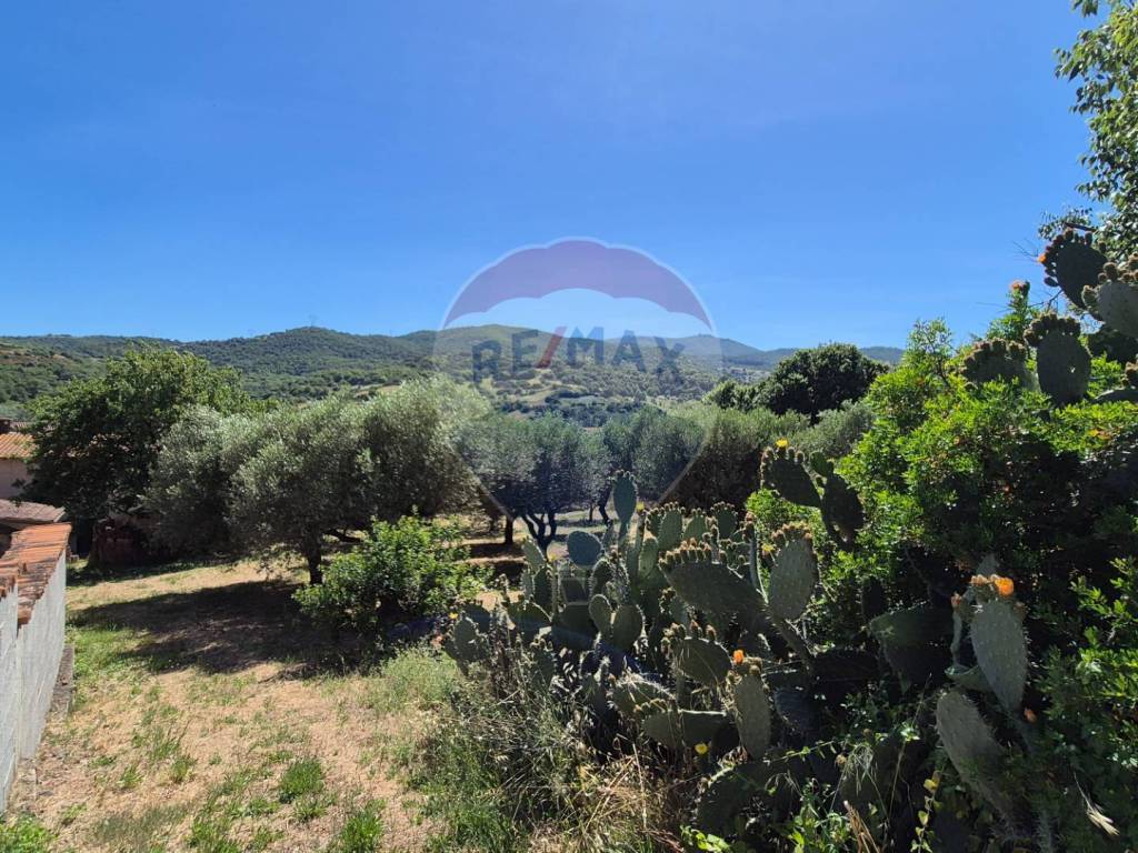 Terreno a Allai - Foto 2