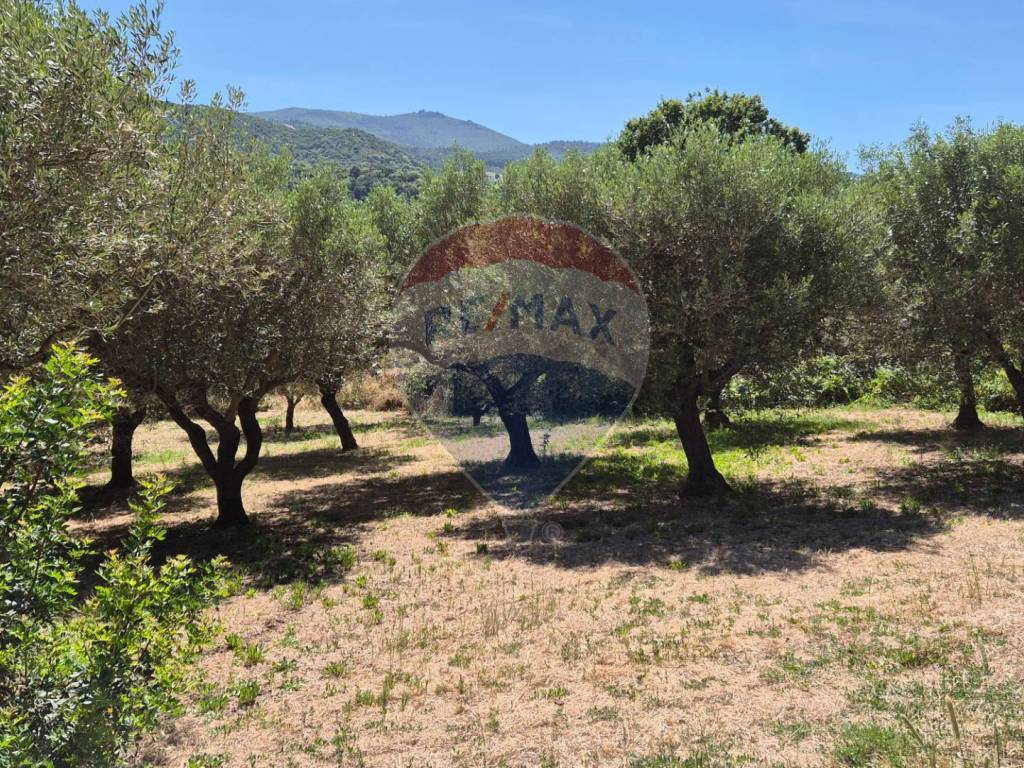 Terreno a Allai - Foto 3