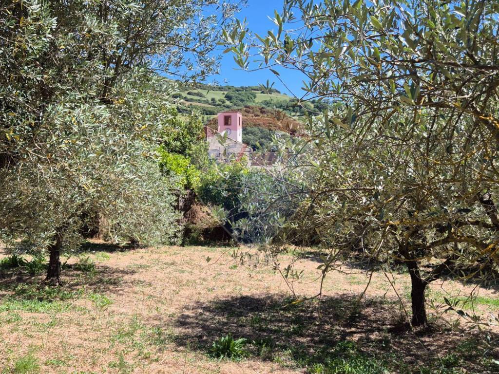 Terreno a Allai - Foto 5