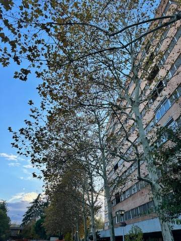 Appartamento a Bologna - Foto 2