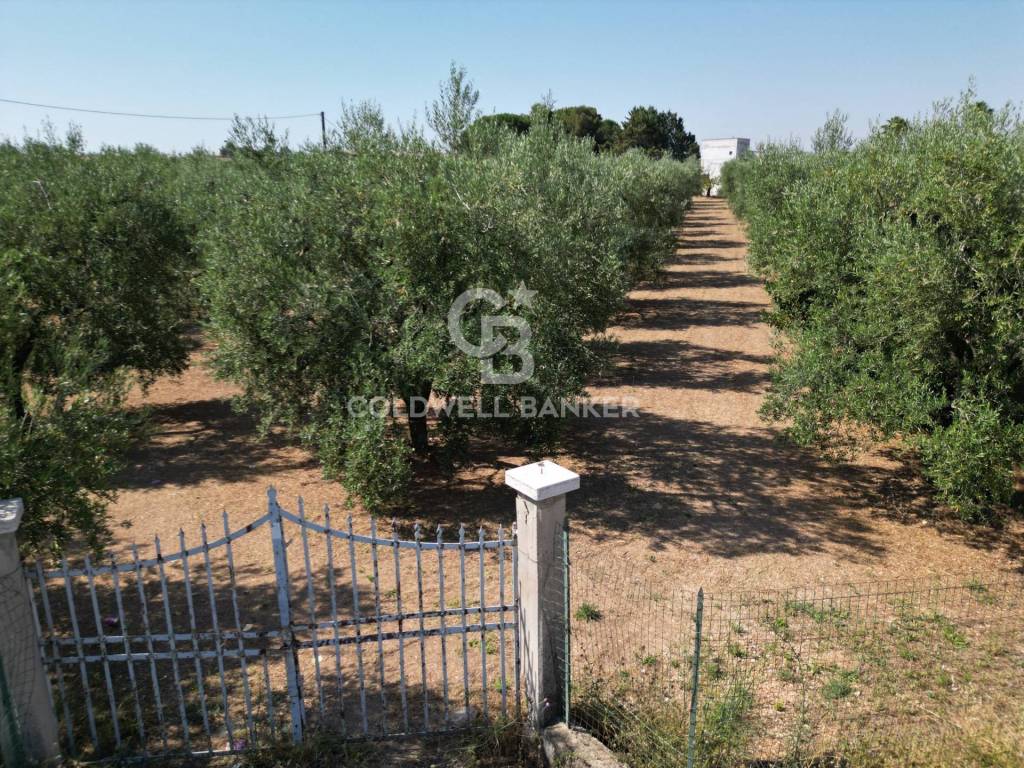 Villa a Andria in CONTRADA MACCHIE DI ROSE - Foto 3