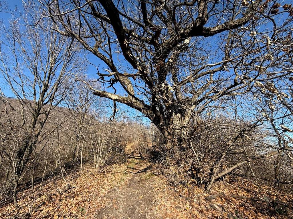 Rustico / casale a Revello in Via Vecchia della Valle - Foto 5