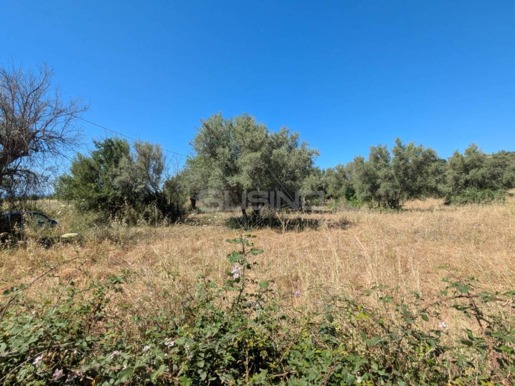 Terreno a Avola in contrada risicone - Foto 4