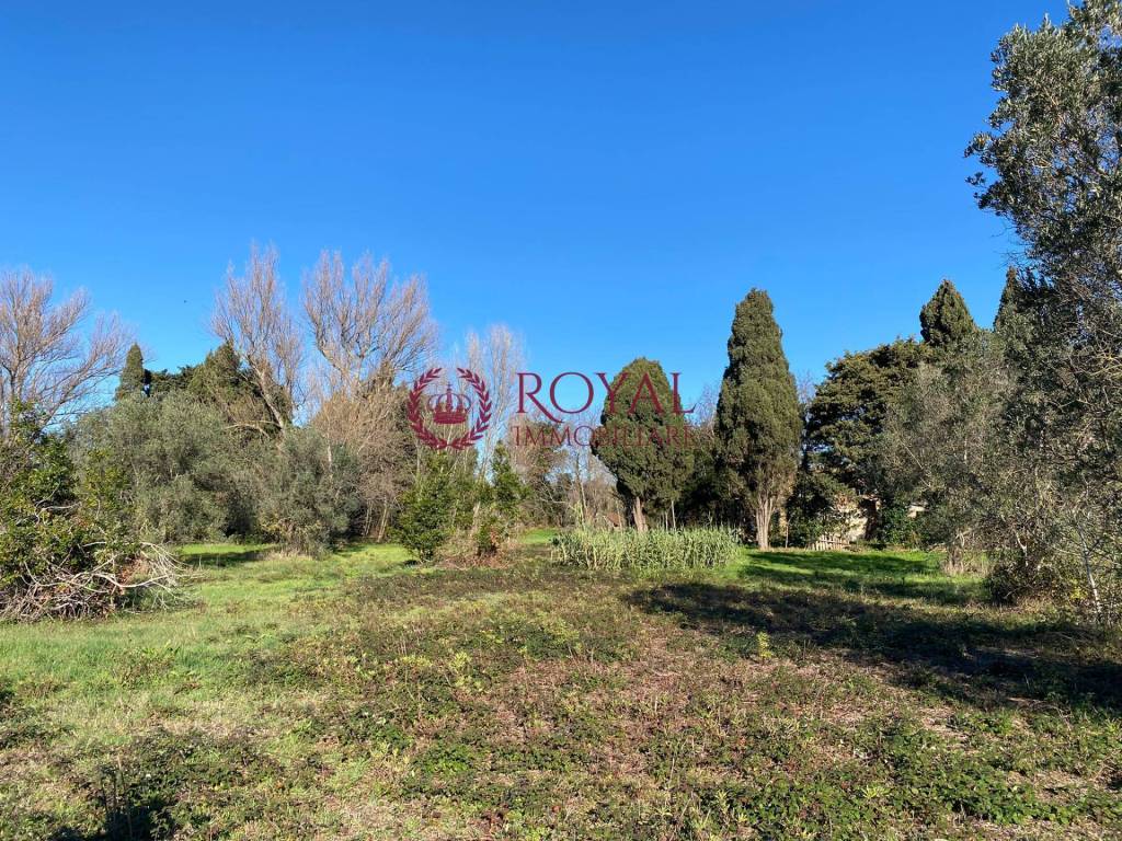 Rustico / casale a Rosignano marittimo - Foto 4