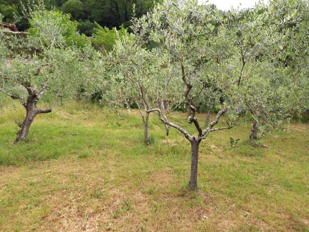 Casa indipendente a Londa - Foto 3