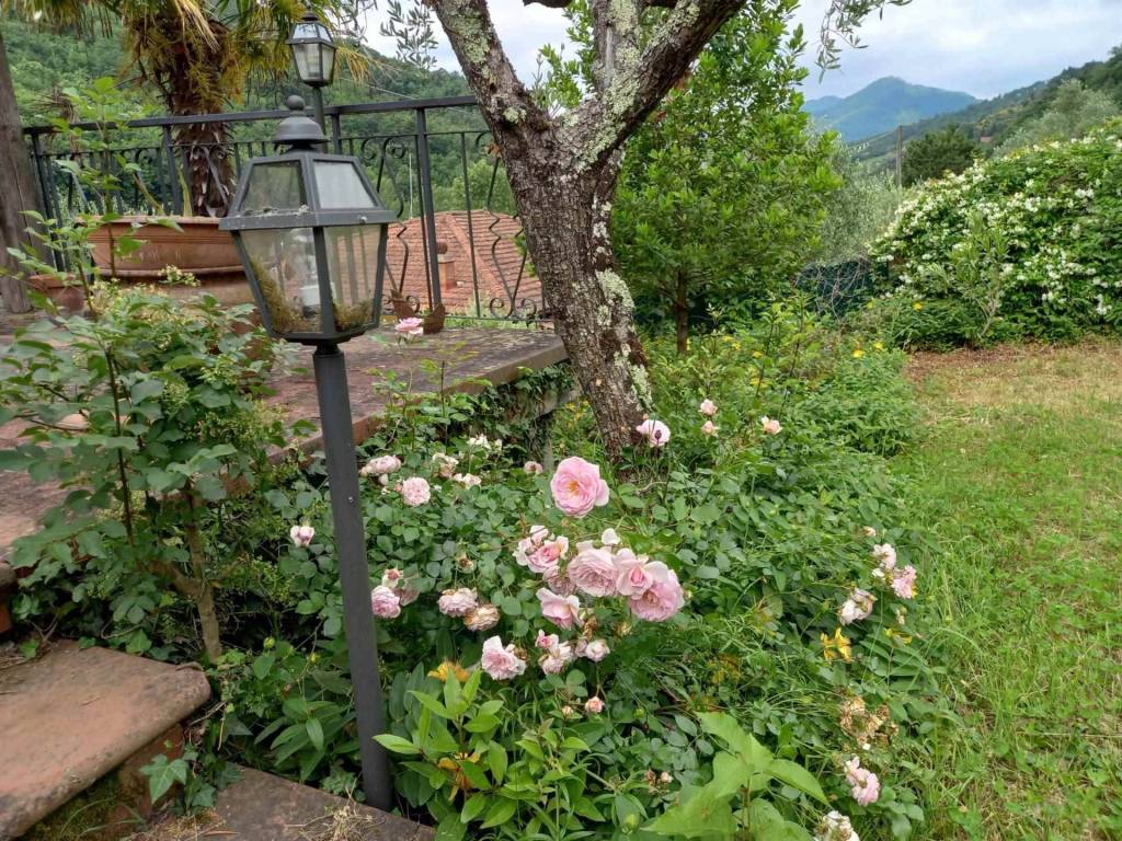 Casa indipendente a Londa - Foto 4