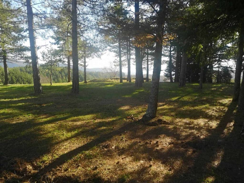 Appartamento a Loro ciuffenna - Foto 2