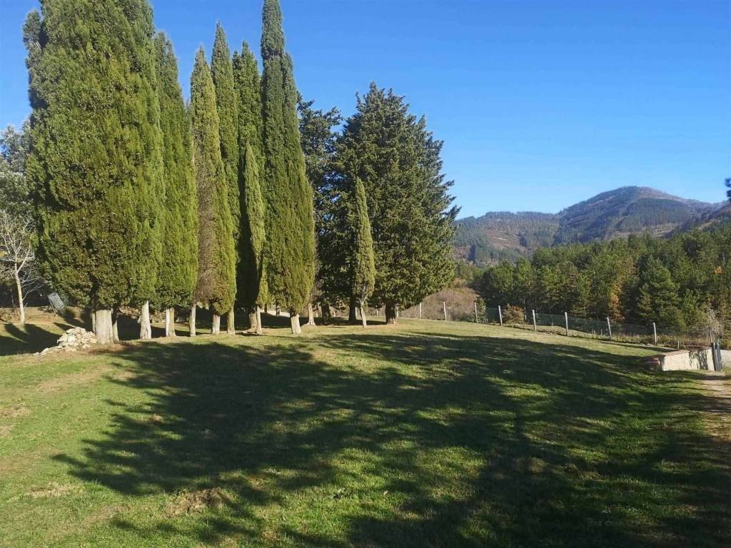 Appartamento a Loro ciuffenna - Foto 3