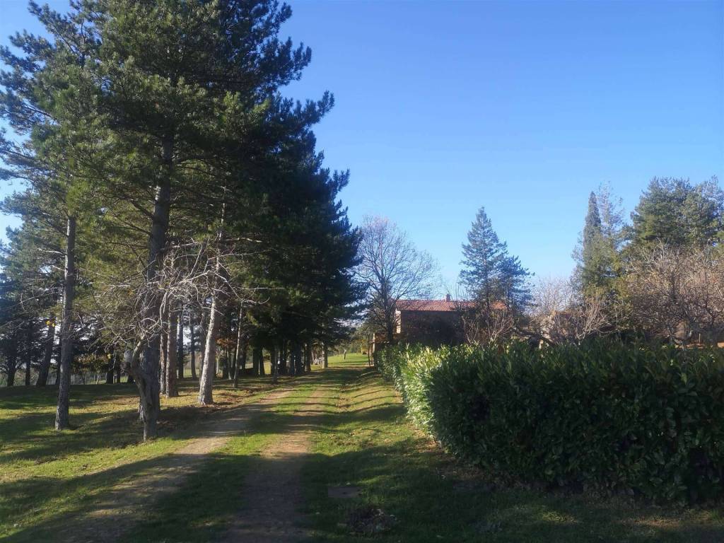 Appartamento a Loro ciuffenna - Foto 5