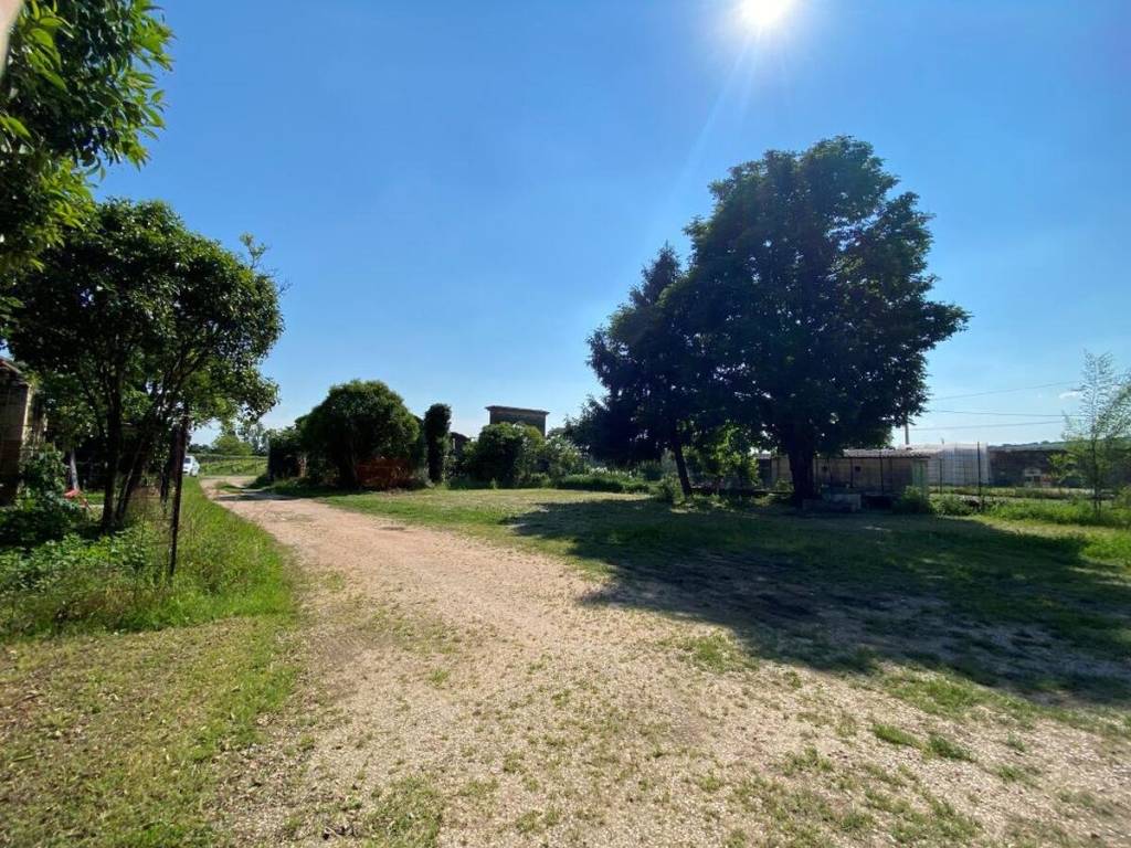 Rustico / casale a Colognola ai colli in LOCALITA' VALLESE - Foto 4