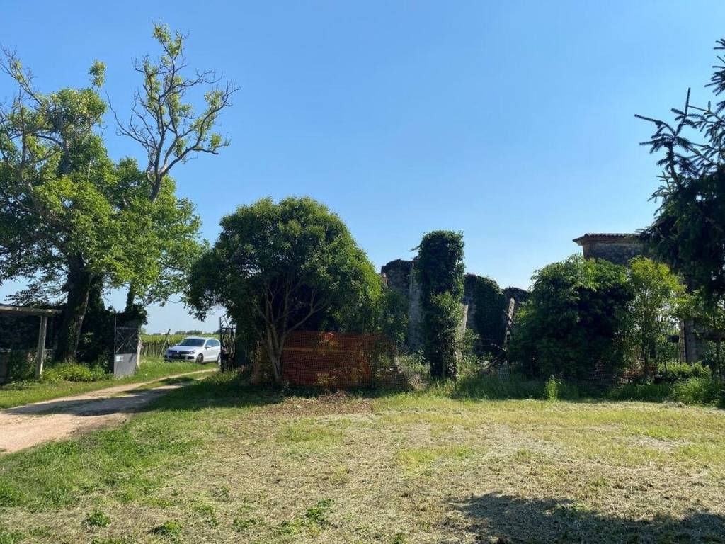 Rustico / casale a Colognola ai colli in LOCALITA' VALLESE - Foto 5