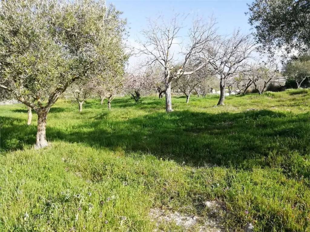 Terreno a San cataldo in Strada Provinciale 33 - Foto 2